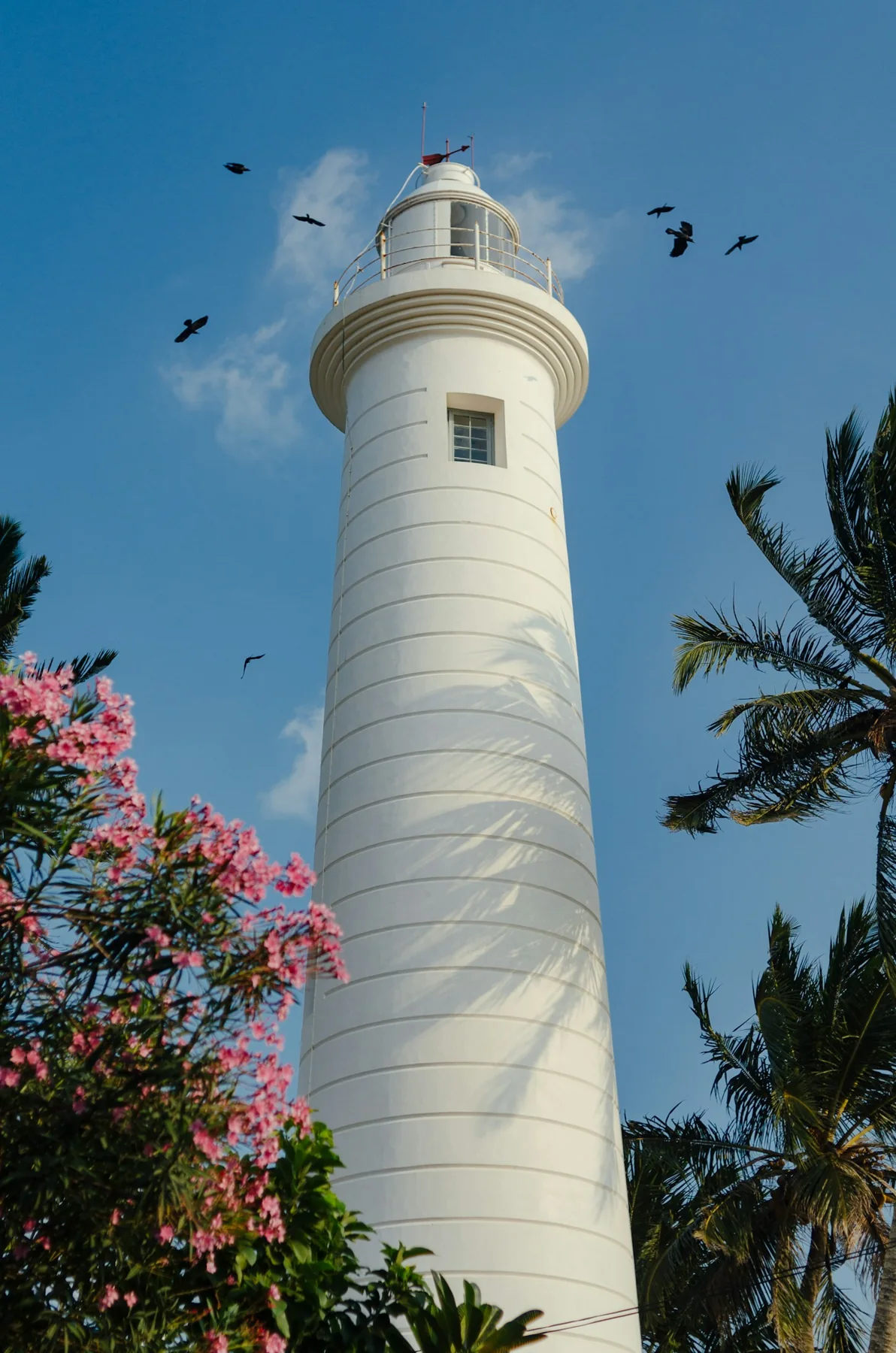 Galle lighthouse framed by palm trees in Sri Lanka