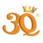 3Q INTERNATIONAL PVT LTD business logo — Ganemulla, Sri Lanka