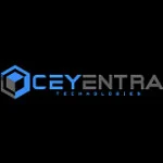 Ceyentra Technologies (Pvt) Ltd — business artwork — Panadura, Sri Lanka