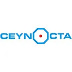 Ceynocta (Pvt) Ltd. — business artwork — Colombo, Sri Lanka
