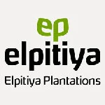 ELPITIYA PLANTATIONS PLC business image — Colombo, Sri Lanka