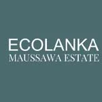 GUAYAPI LANKA PVT LTD business image — Pundaluoya, Sri Lanka