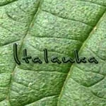 ITALANKA FOLIAGE EXPORTS PVT LTD business image — Dankotuwa, Sri Lanka