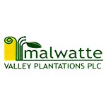 MALWATTE VALLEY PLANTATIONS PLC business image — Colombo, Sri Lanka