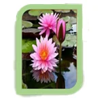 SURYA EXPORT AND IMPORT business image — Homagama, Sri Lanka