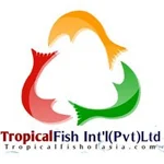 TROPICAL FISH INTERNATIONAL PVT LTD — business artwork — Rajagiriya, Sri Lanka